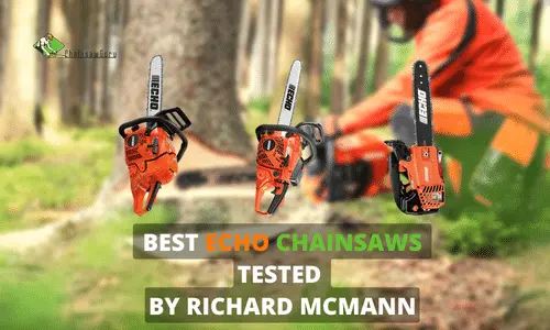 Best Echo Chainsaw Reviews