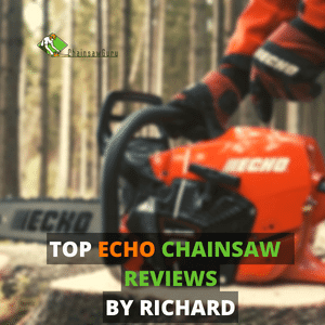 top echo chainsaw reviews
