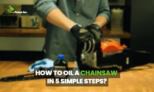 How to Oil a Chainsaw in 5 Simple Steps? Easy Lubrication Steps