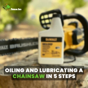 oiling and lubricating a chainsaw in 5 steps