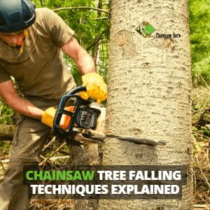 chainsaw tree falling techniques explained