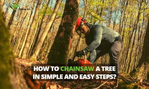 How To Chainsaw A Tree in Simple and Easy Steps in 2026?