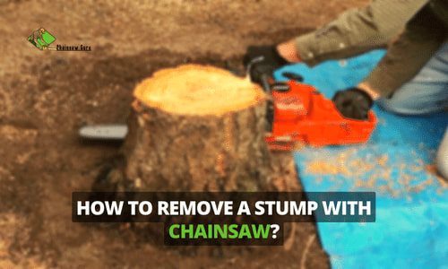 How to Remove a Tree Stump with a Chainsaw - A Guide