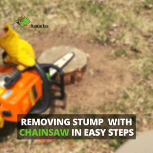 removing stump with a chainsaw in easy steps