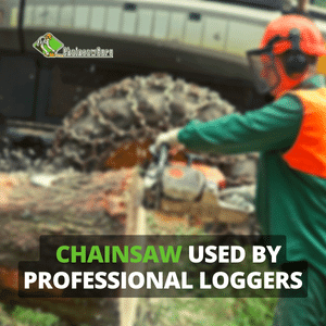 chainsaw used by professional loggers