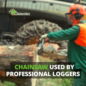 What Chainsaw Do Professional Loggers Use?