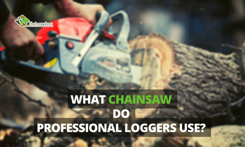 what chainsaw do professional loggers use