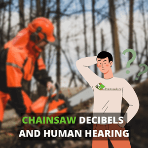 chainsaw decibels and human hearing