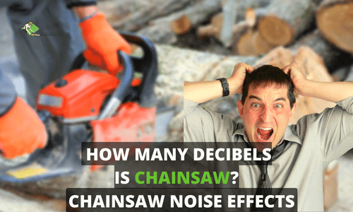 How Many Decibels is a Chainsaw? Shocking Facts 2022