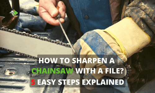 How to Sharpen a Chainsaw with a File in 2022? A Guide