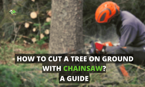 How to Cut a Tree on the Ground with a Chainsaw in 2022?