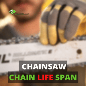 chainsaw chain life span