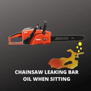 CHAINSAW LEAKING BAR OIL WHEN SITTING