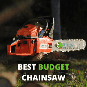 best budget chainsaw