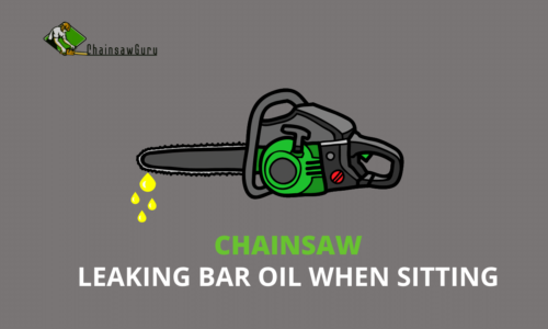 Chainsaw Leaking Bar Oil When Sitting – Updated Solutions 2022