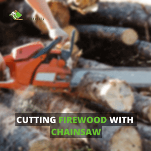 how to cut firewood with chainsaw
