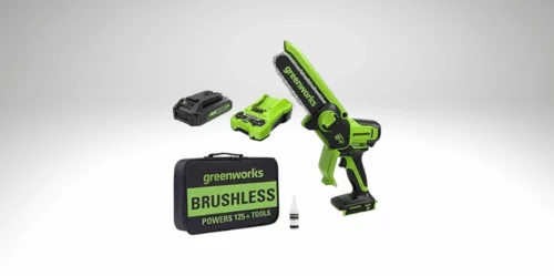 Greenworks 24V Mini Chainsaw