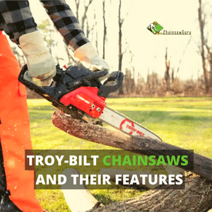 Troy-Bilt chainsaws and their features