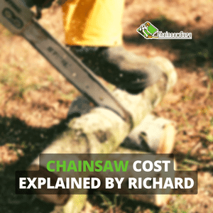 chainsaw cost explained
