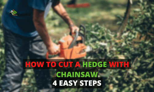 How to Cut a Hedge with a Chainsaw in 4 Easy Steps [2022]
