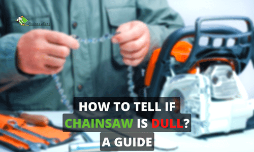 How to Tell if a Chainsaw is Dull? Symptoms and Solutions 2022