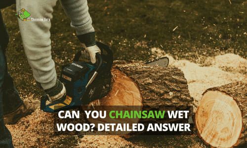 can you chainsaw wet wood