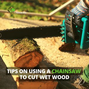 how to use a chainsaw to cut wet wood