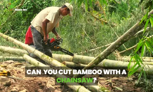 Can You Cut Bamboo With A Chainsaw