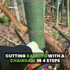 cutting bamboo with a chainsaw in 4 simple steps