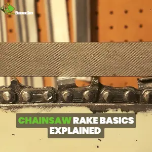 chainsaw rake basics explained