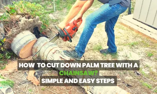 how to cut down palm tree with a chainsaw