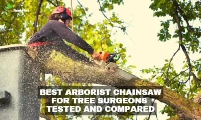 The 10 Best Arborist Chainsaw Tested for Tree Surgeons