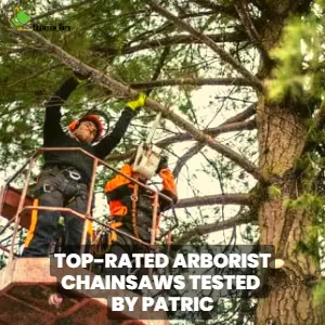 top-rated arborist chainsaws