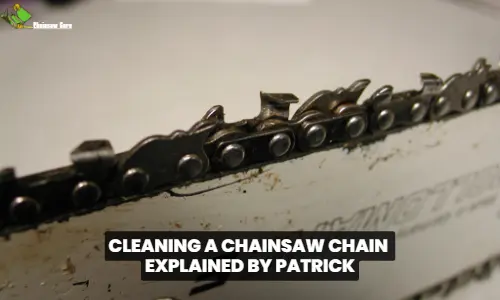 cleaning a chainsaw chain