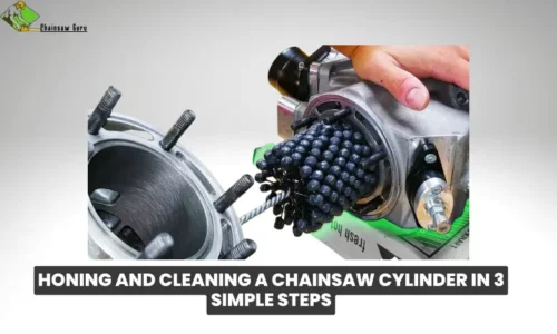 honing and cleaning a chainsaw cylinder
