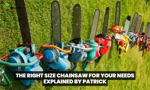 the right size chainsaw for your needs
