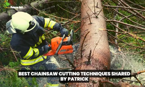 best chainsaw cutting techniques