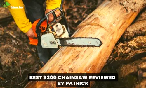 best 300 chainsaw tested