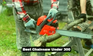 best chainsaw under 300