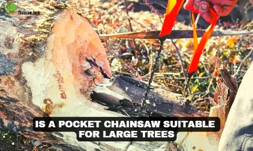 is a pocket chainsaw suitable for large trees