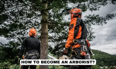 How to Become an Arborist – A Complete Guide [2023]
