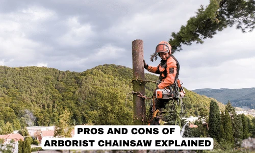 pros and cons of arborist chainsaw