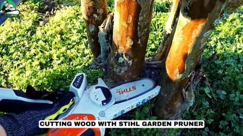 Cutting Wood With Stihl Garden Pruner