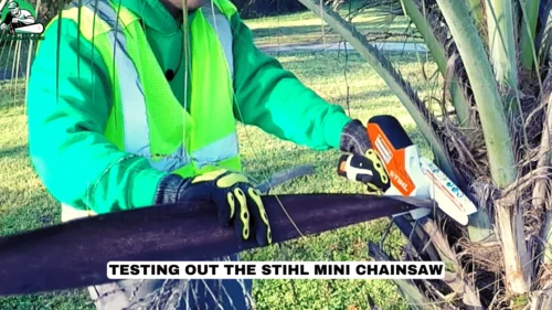 Testing Out the Stihl Mini Chainsaw
