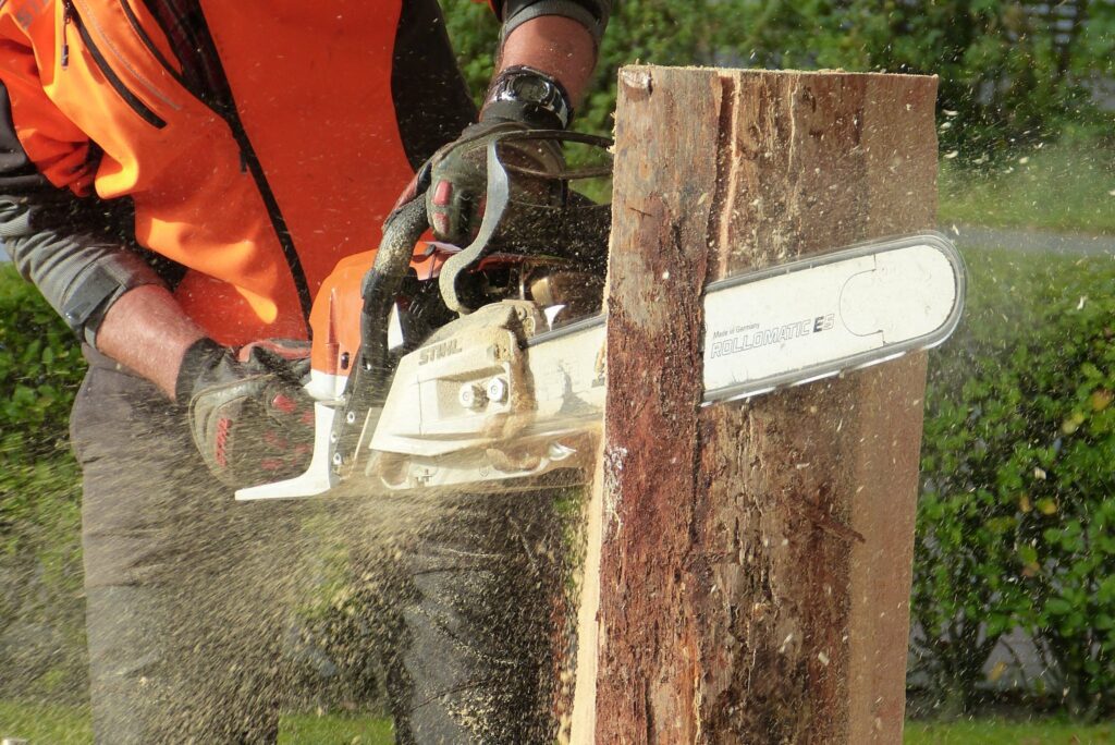 Richard McMann Cutting Trees Using Chainsaw