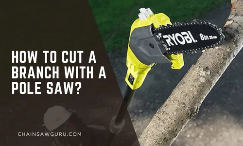 How To Cut A Branch With A Pole Saw?
