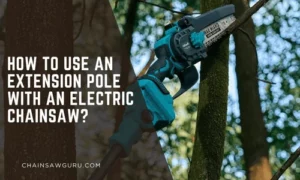 How to Carve a Totem Pole with Chainsaw in 6 Simple Steps