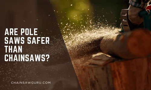 Are Pole Saws Safer Than Chainsaws
