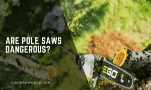 Are Pole Saws Dangerous