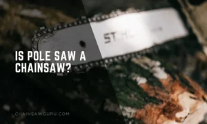 Is a Pole Saw a Chainsaw